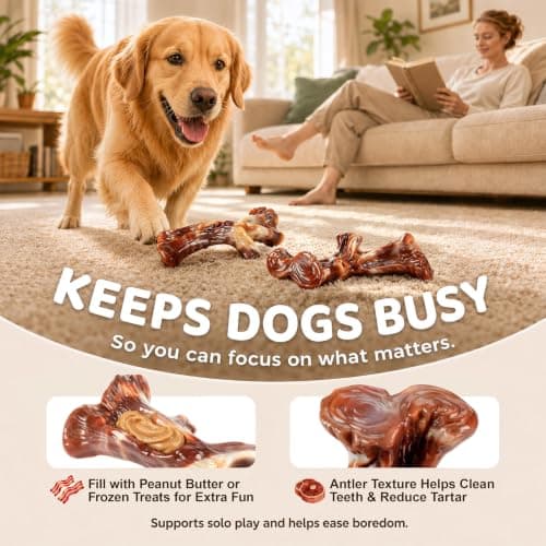 Dog Chew Toys for Aggressive Chewers - 2 Pack Indestructible Dog Toys, Beef and Bacon Flavored Tough Nylon Dog Bones for Aggressive Chewers, Medium Large Breed Dogs to Keep Them Busy view 3