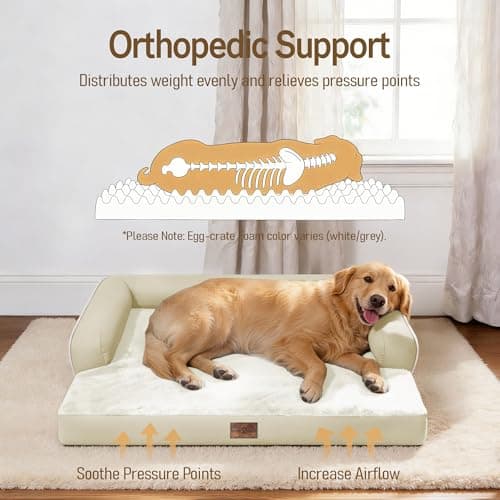 Comfort Expression Washable Orthopedic Large Sized Dogs - Huge Large Dog Bed with Removable & Waterproof Cover Soft Pet Couch with Foam Support for Big Size Dogs with Bolster, 45x35 view 2