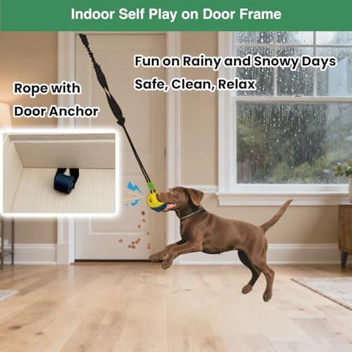 GDuolaPaws Interactive Dog Bungee Tug Toy, 4 Pieces Hanging Spring Pole for Puppy/Small/Medium Dogs, Outdoor Tether Rope for Yard Tree, Indoor Door Pull Toy for Self Play and Solo Exercise view 2