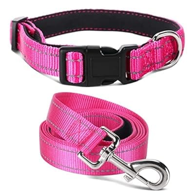 Jumpress Soft Neoprene Padded Dog Collar and Leash Set for Small Medium Large Dogs, Reflective Durable Nylon Dog Collar with 5ft Leash Easy for Walking, Hot Pink,Neck fit 10.5-15.5’’