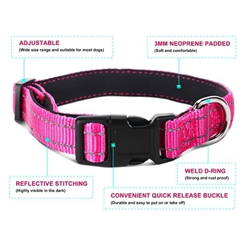 Jumpress Soft Neoprene Padded Dog Collar and Leash Set for Small Medium Large Dogs, Reflective Durable Nylon Dog Collar with 5ft Leash Easy for Walking, Hot Pink,Neck fit 10.5-15.5’’ view 3
