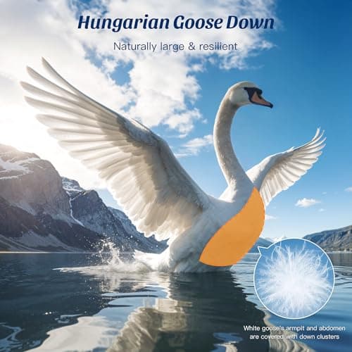 REDASW Hungarian Luxurios Goose Down Pillows Queen Size 900 Fill Power, 80% Goose Down 20% Goose Feather Bed Pillows with 100% Cotton Shell 600 Thread Count Fluffy Soft Cozy (20"X30", Pack of 2) view 2