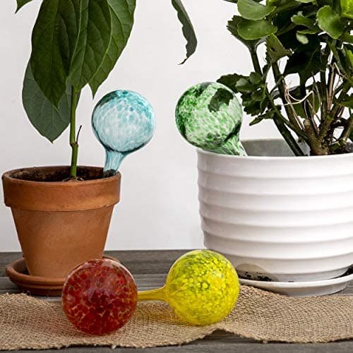 Besti Large Self Watering Globes for Plants (6-Pack) Waters Greenery Up to 2 Weeks Hands Free | Durable, Multicolored Glass Craftsmanship | Indoor and Outdoor Use - Measures 12” x 3.5” view 4