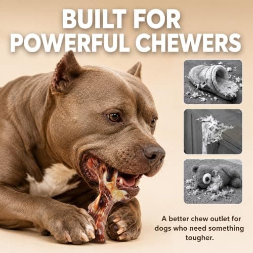 Dog Chew Toys for Aggressive Chewers - 2 Pack Indestructible Dog Toys, Beef and Bacon Flavored Tough Nylon Dog Bones for Aggressive Chewers, Medium Large Breed Dogs to Keep Them Busy view 4