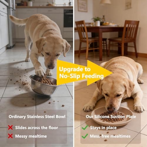 Onyucean Non-Slip Cat & Dog Food Bowl, Shallow Wide Pet Plate for Puppy Kitten, Unbreakable Silicone Feeding Bowls for Cat Dog & Pets, Heavy Duty, Dishwasher Safe, Mess-Free view 2