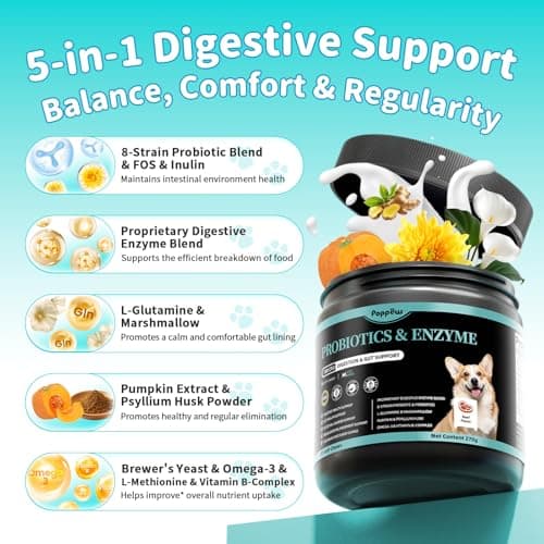 Probiotics for Dogs, Digestive Enzymes & Pumpkin Fiber for Gut Health and Bowel Support, Dog Supplement for Gas Relief & Constipation, 10B CFU with 5 Prebiotics & 5 Enzymes, 90 Count Beef Flavor view 6
