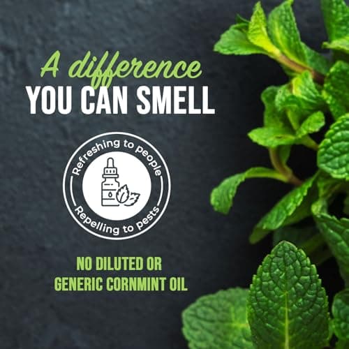 Mighty Mint Peppermint Oil Insect Repellent Spray – Indoor & Outdoor Bug Control for Spiders, Ants, Roaches, and More – Plant-Based, Extra-Strong Formula - 16 oz view 4