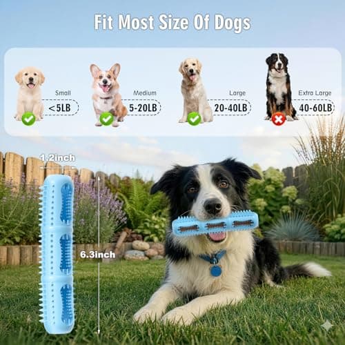 Eternalyme Bite and Brush Chew Toys for Small and Medium Breeds，Dogs Dental Chew，Teething Chew Toys，Toothbrush Toy for Cleaning Teeth and Keeping Dogs Busy(3-Pack) view 6