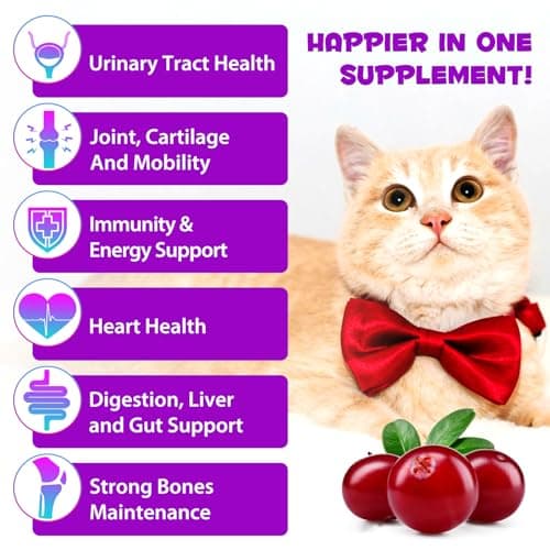 Liquid Multivitamin for Cat, 15 in 1 Cats Multivitamin Liquid Drops Supplements for Skin & Coat, Heart Health, Bones and Joint, Cat Vitamins with Glucosamine and MSM, Immune System Support -60ml view 2
