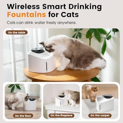 Wireless Cat Water Fountain with Smart App Monitoring, BPA-Free Ensure Safety, 2.5L/84oz Pet Water Fountain, Increase Water Intake, Ultra-Quiet Automatic Cats Dog Dispenser with Hydration Tracking view 6