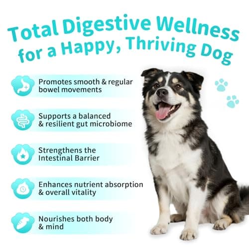 Probiotics for Dogs, Digestive Enzymes & Pumpkin Fiber for Gut Health and Bowel Support, Dog Supplement for Gas Relief & Constipation, 10B CFU with 5 Prebiotics & 5 Enzymes, 90 Count Beef Flavor view 5