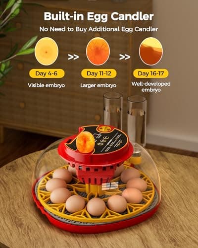 Incubator for Hatching Eggs,Automatic Turning,Temperature and Humidity Control Display,360° Viewing for Chicken, Duck, Quail Eggs, Ideal for Farm, Classroom, Home Use,2025 Upgraded 12 Egg Incubators view 3