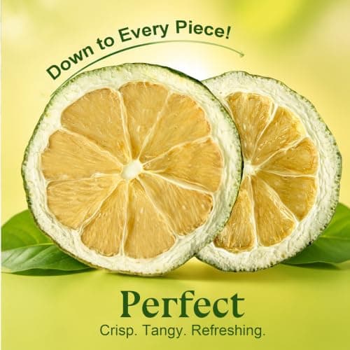 Organic Dehydrated Limes Slices Cocktail Garnish Dried Fruits Sugar Free Dry Fruit for Drinks Smoothies Cooking Tea Pie Baking Decoration Candle Craft Decor, Non GMO Gluten Free & Vegan 10 oz view 3