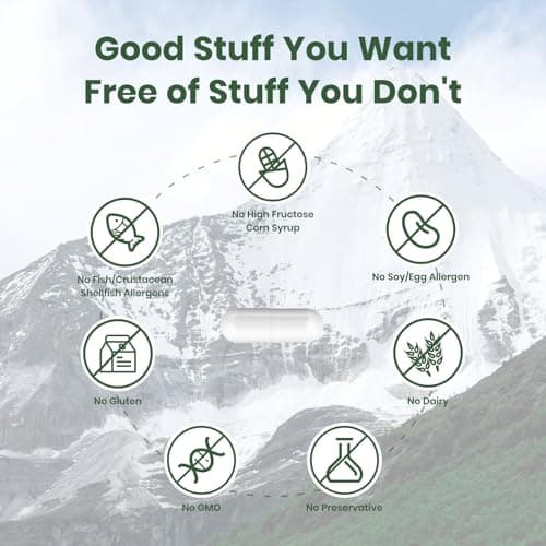 Flynew Shilajit for Men Women, Shilajit with Naturally Fulvic Acid & L-Arginine, Himalayan Shilajits for Extra Power, Stamina & Immune Support, Non-GMO, Made in USA, 60 Capsules, 1,300mg Per Serving view 6