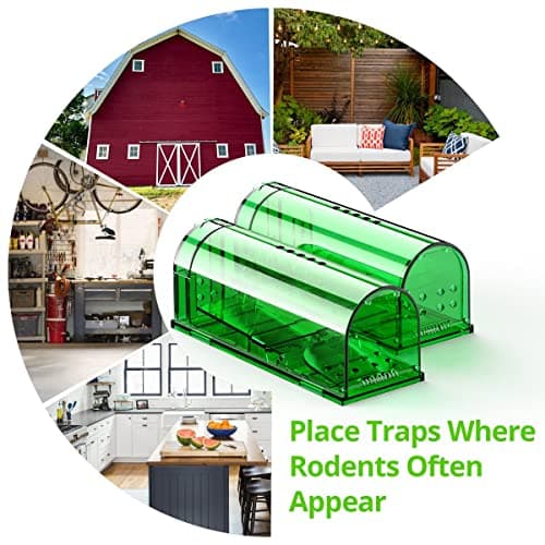 Humane Mouse Trap No Kill, Live Mice Traps Indoor for Home, Reusable Mouse Catcher for House, Catch and Release Rat Capture Cage, Quick Effective and Safe for Pets-2 Pack view 5