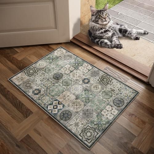NoiFamo Machine Washable Entryway Small Area Rugs: Soft Non-Slip LowPile Door Mat Indoor Entrance 2x3 ThrowRug for High-Traffic Areas Kitchen, Hallway, Farmhouse Decor view 2
