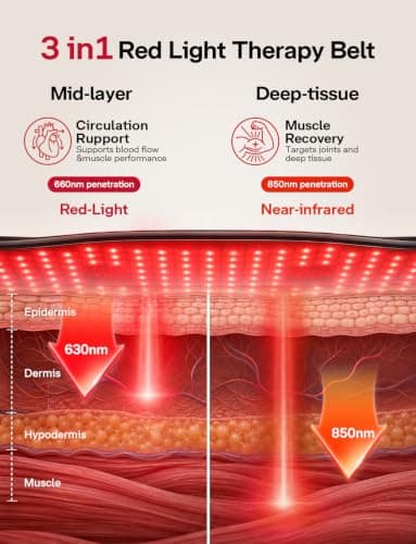 Medisana 3 in1 Cordless Red Light Therapy Belt with Heating &Vibration | 3 Modes, 660nm/850nm Near Infrared Red Light for Back, Waist, Hips,Legs view 3