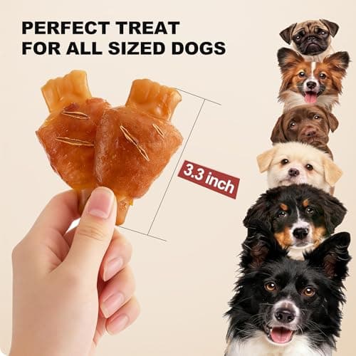 PETPHABET Rawhide Free Dog Chew Bones - Grilled Pork Hock Dog Chews for Small Medium Breeds, Healthy Puppy Treats for Training & Teething, Made with Real Chicken, Natural Smoky Flavor, 12 Count view 4