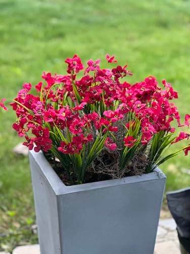 DOMMARE Rose Artificial Flowers for Outdoors Fake Faux Plant, Uv Resistant Silk Flowers Daisies Decoration for Wedding Window Boxes Indoors Gardens Summer Home Easter Mother's Day Decor, 12 Bundles view 2