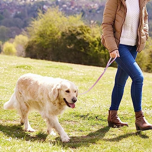 Wolfone Waterproof Dog Leash Carabiner Leash for Dogs Soft Handle Easy Care 5ft*15mm*2.0mm Sweet Lilac view 6