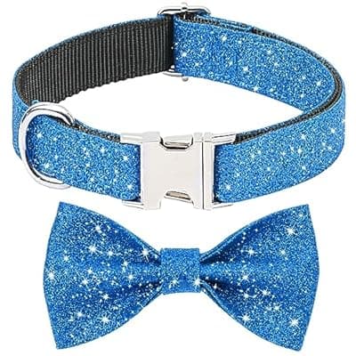 Jumpress Blue Boy Dog Collar with Bow, Bling Male Bowtie Dog Collar for Puppy Small Dogs and Cats, Cute Dog Collar for Daily Walking or Holiday Party (Neck fit 9-12’’)