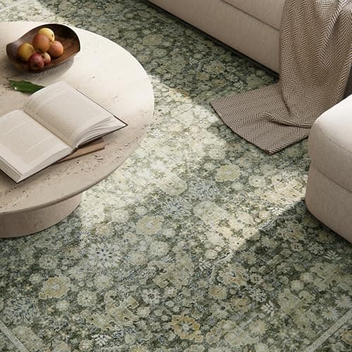 NoiFamo Machine Washable Entryway Small Area Rugs: Soft Non-Slip LowPile Door Mat Indoor Entrance 2x3 ThrowRug for High-Traffic Areas Kitchen, Hallway, Farmhouse Decor view 4