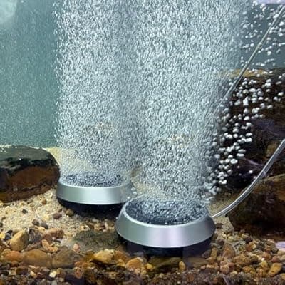 4.7 Inch Aquarium Air Stone Disc Bubble Diffuser Release Tool with 6Ft Air Tube, 2 Pieces Air Stones Oxygen Diffuser for Fish Tank, Ponds & Circulation System, Check Valve Hydroponic Aeration Bubbler
