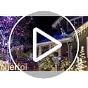 Colored Christmas Lights Outdoor 66ft 640 LED Icicle Lights for Outside | Connectable Clear Wire 8 Modes Timer Plug in Waterproof for House Xmas Yard Tree Eaves Party Holiday Decoration, Multicolor view 3