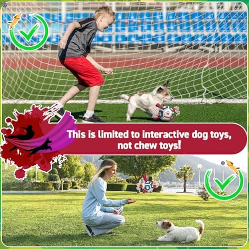 QDAN Dog Toys with Bell Inside, Durable Dog Balls for Tug of War, Outdoor Dog Toys, Squeaky Ball Toy (Blue, 5 inch) view 6