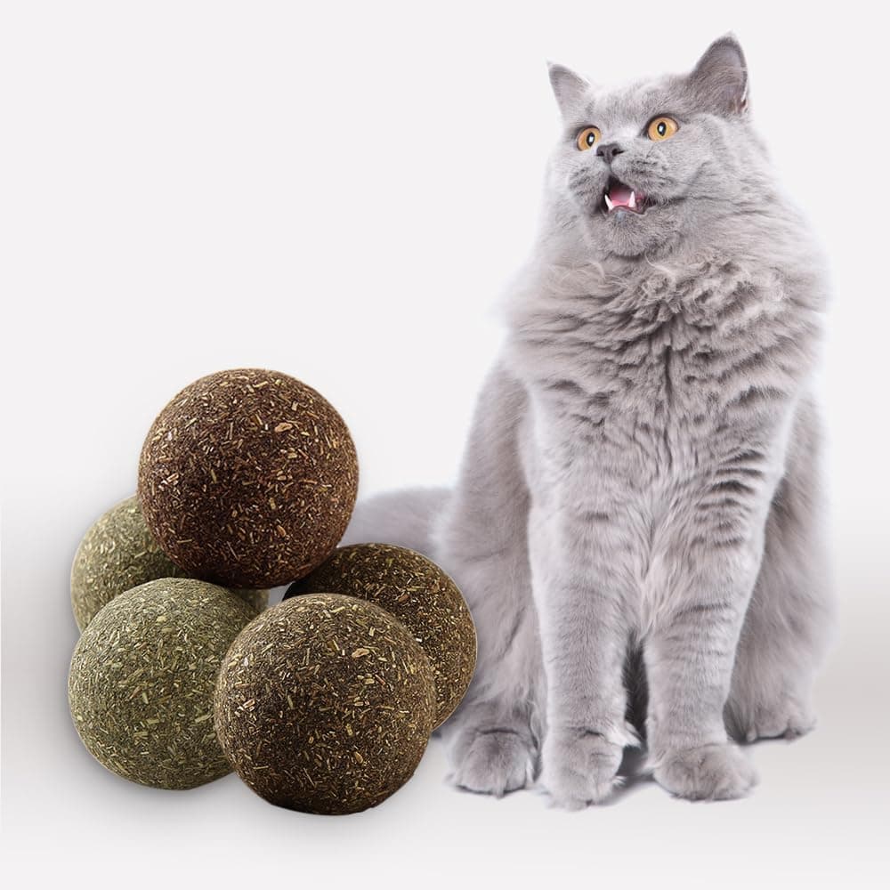 EAIREYS Cat Catnip Toys