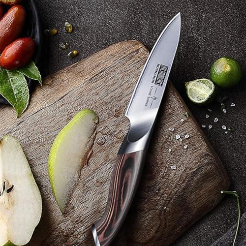 HOSHANHO 3.75 inch Paring Knife, Ultra Sharp Japanese Kitchen Fruit Knife | Professional Japanese High Carbon Stainless Steel Small Kitchen Knives with Ergonomic Handle view 5