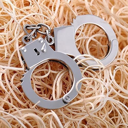 ZB.soar Funny Cat Handcuffs, Key Buckle,Stainless Steel Pet Toy Handcuffs, Mini Pet Handcuff Suitable for Most Small Pets,Increase The Relationship with Your Pets (Metal) view 4