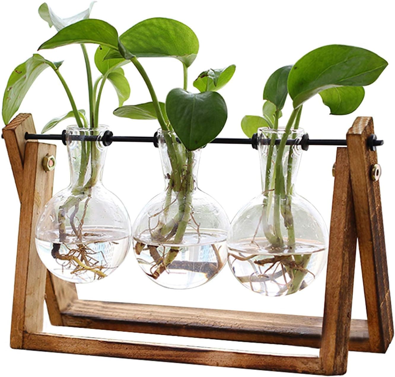 XXXFLOWER Plant Terrarium with Wooden Stand — image 1