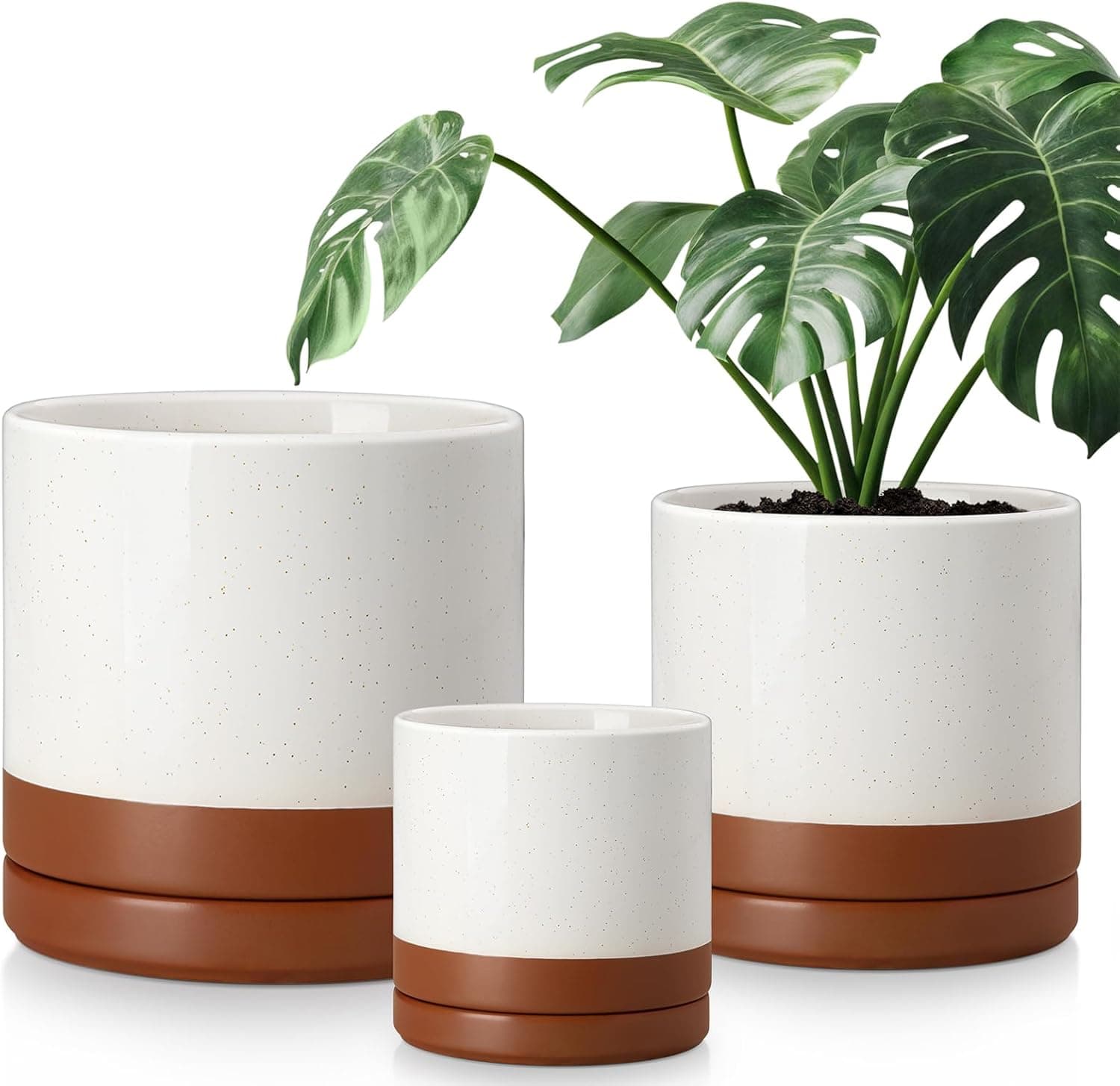 VANCASSO Ceramic Planters Set of 3