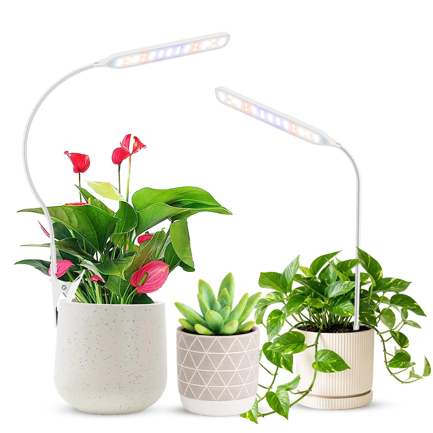 2 in 1 Grow Lights for Indoor Plants, Full Spectrum Plant Light