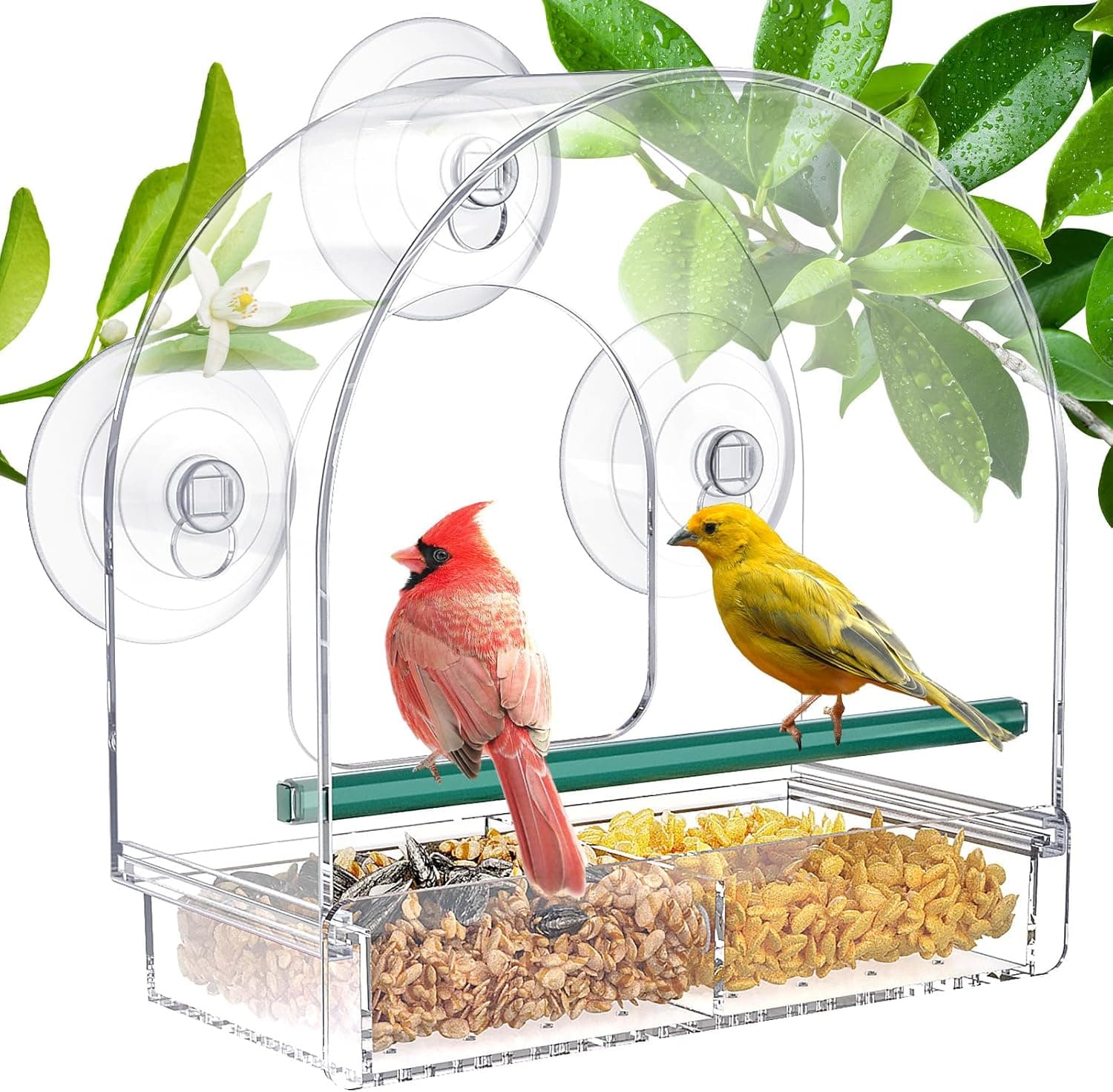 SUNALLY Window Bird Feeder